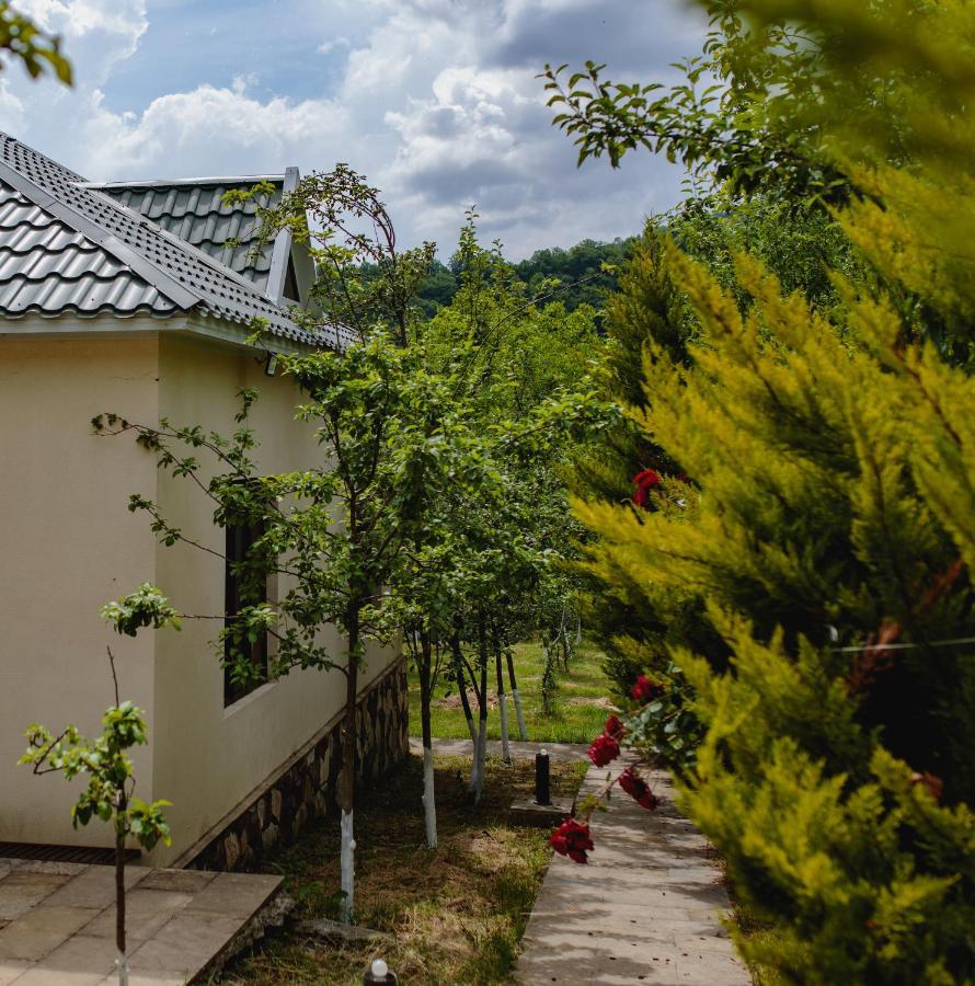 White Boutique Hotel Gabala Phòng bức ảnh